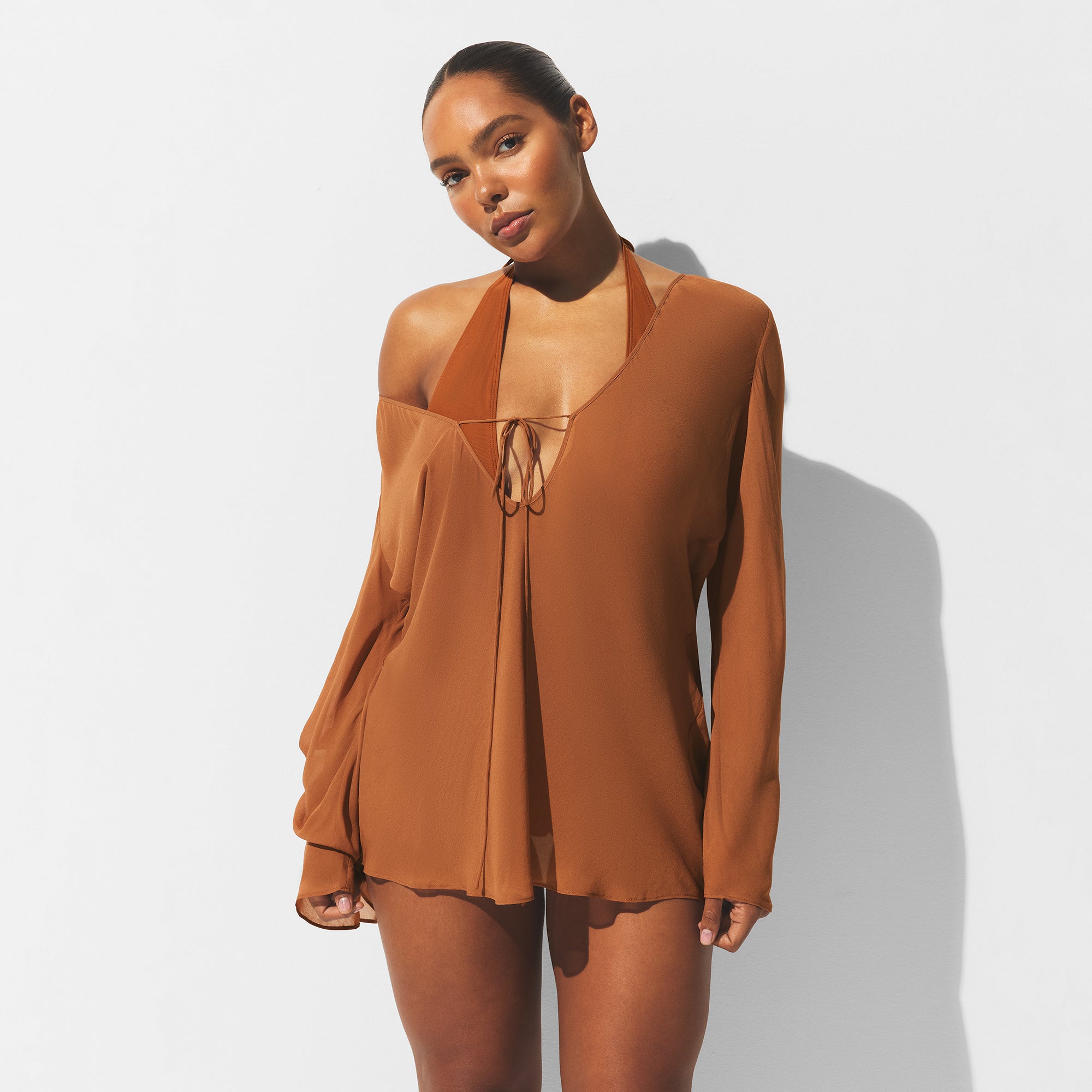 SHEER COVER-UPS LONG SLEEVE MINI DRESS | CHESTNUT