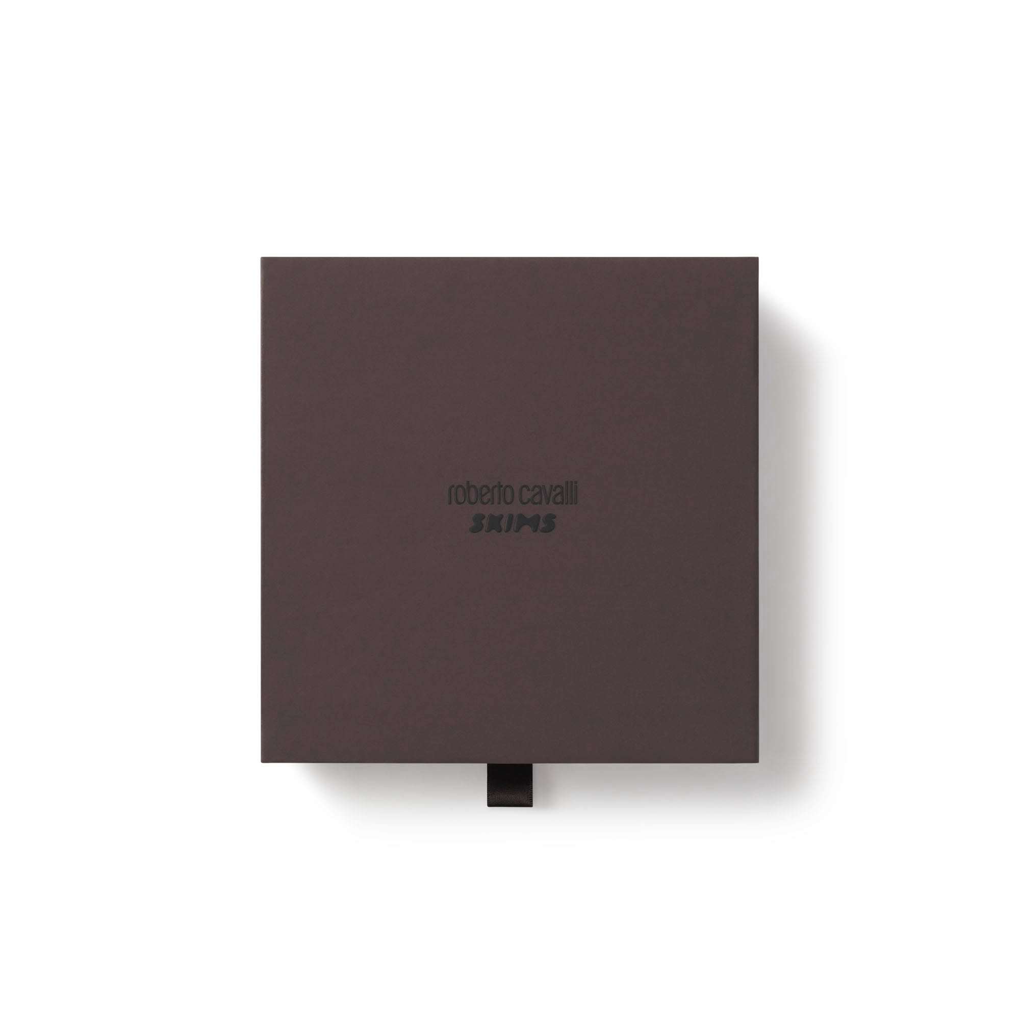 ROBERTO CAVALLI X SKIMS DIPPED TIE BIKINI BOTTOM | TIGER FACE PRINT