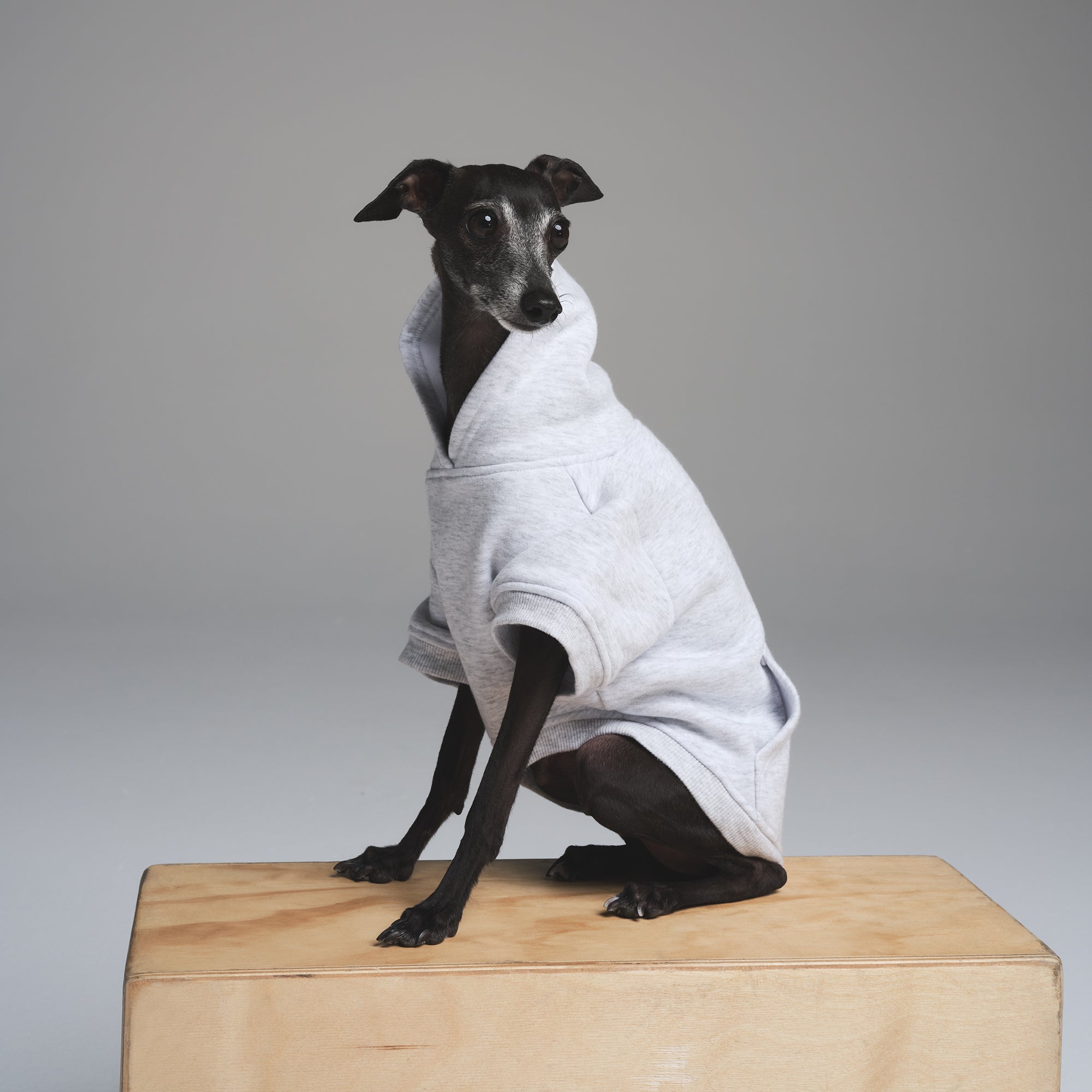 COTTON FLEECE PET HOODIE | LIGHT HEATHER GREY