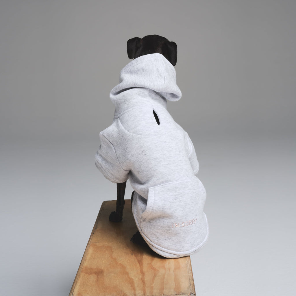 COTTON FLEECE PET HOODIE | LIGHT HEATHER GREY